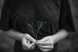 Nyctophylia by Melissa Van Belle