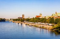 Magdeburg with cathedral, St. John's church and Walloon church by Werner Dieterich thumbnail