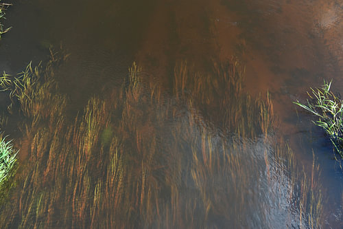 Unter Wasser liegende Sommerfarben