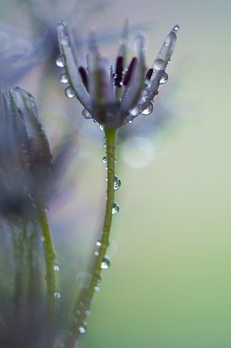 Painted by light III