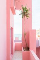 La Muralla Roja - uitzicht