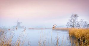 Twiske Mühle am Morgen, Niederlande