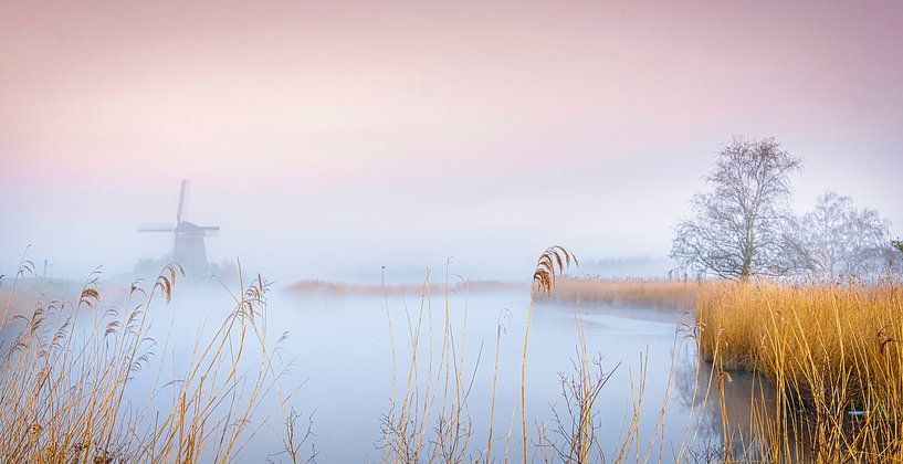 Twiske molen in de ochtend, Nederland van Rietje Bulthuis