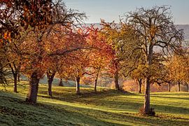 L'automne à Camerig
