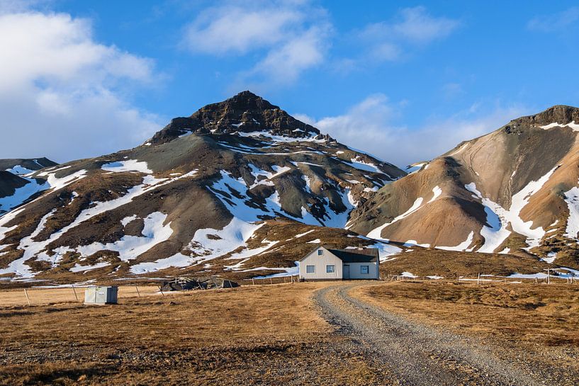 Opgaand in het landschap par Joke Beers-Blom