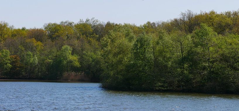 Frühlingsgrün und Wasser von Wim vd Neut