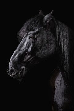Tête de cheval Blackfoto sur Ellen Van Loon