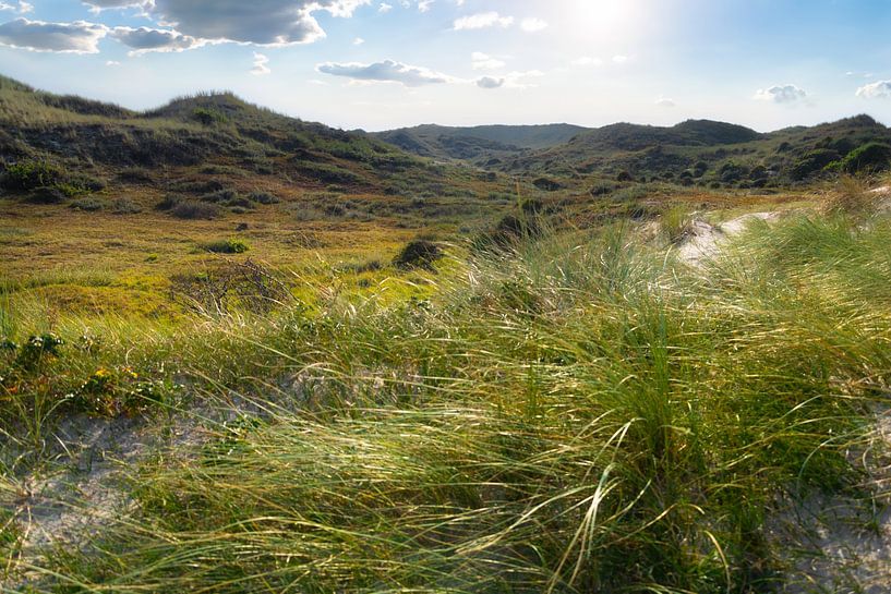 Sunlight over the vast dune landscape by Lisette Rijkers