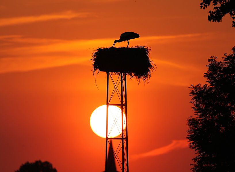 Mooievaar by Michel de Koning