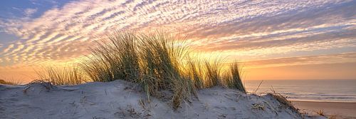 la côte en point de mire