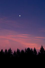 Die Dämmerung. von PEEQ.