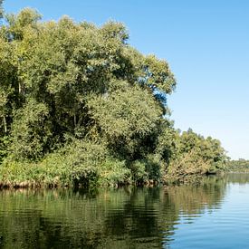 Nationaal park De Biesbosch van Sense Photography