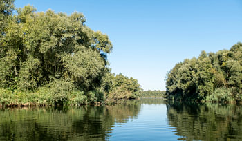 Nationaal park De Biesbosch