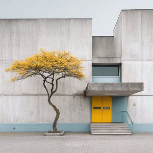 Architecture minimaliste avec porte jaune et arbre