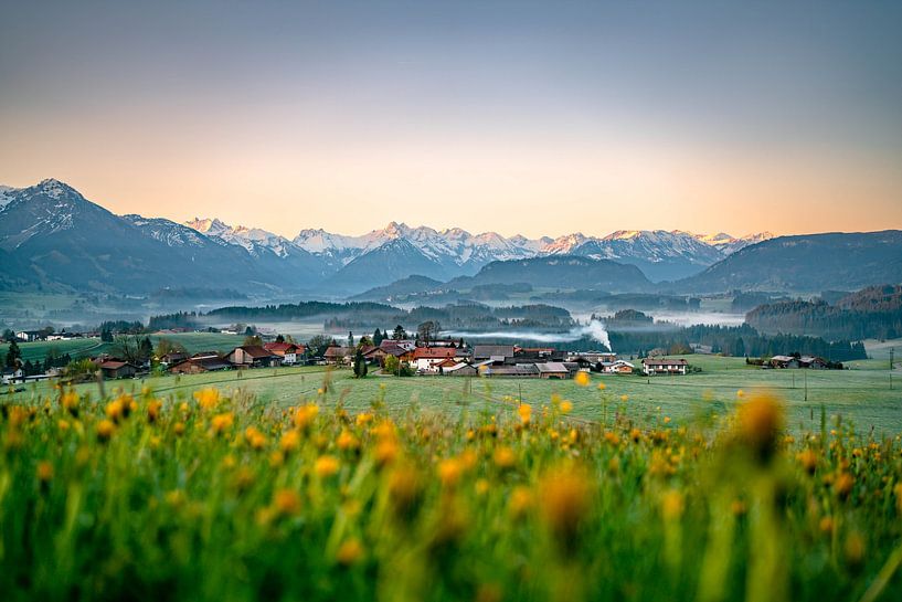 Flowery view of the Allgäu Alps at sunrise by Leo Schindzielorz