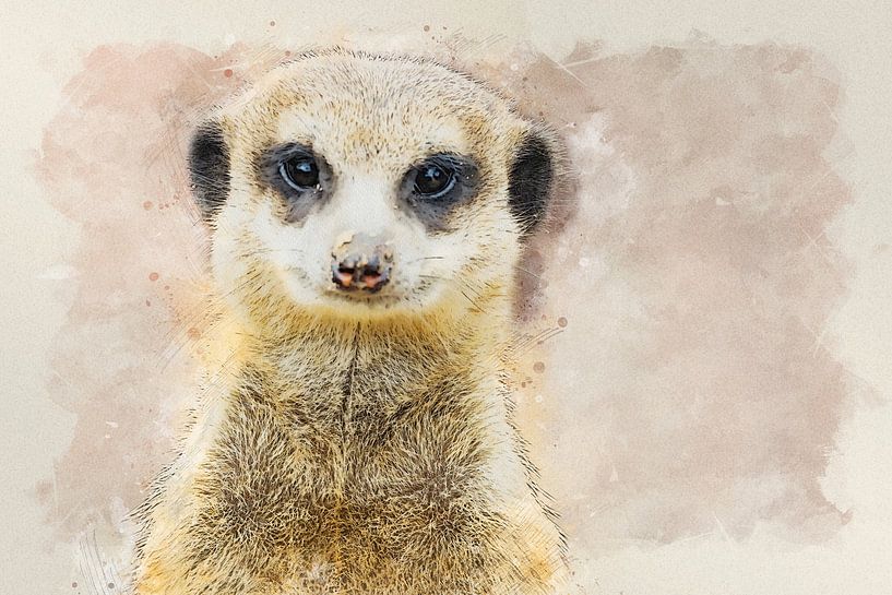 Erdmännchen von Bert Quaedvlieg