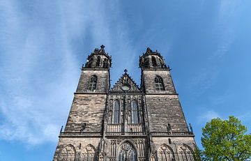 Magdeburger Dom van Richard Wareham
