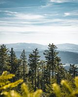 Blick über den Bayerischen Wald