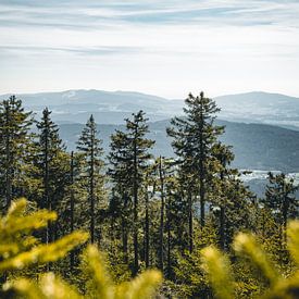 Blick über den Bayerischen Wald von Christian Späth