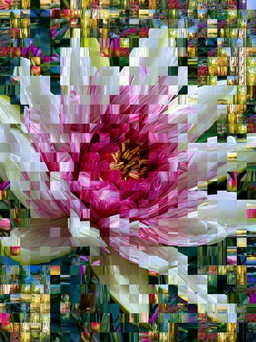 Bloem van Duizend Herinneringen