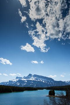 De Blauwe Gloed by Jelle Dijkstra