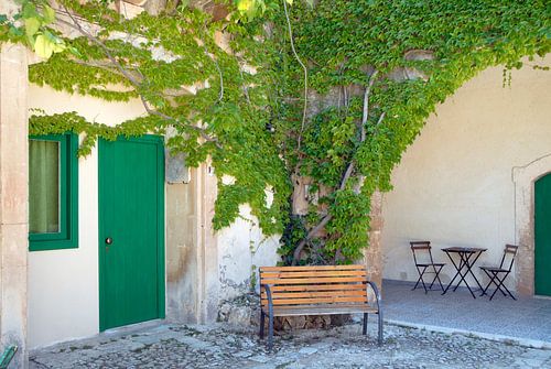 banc confortable dans le vert