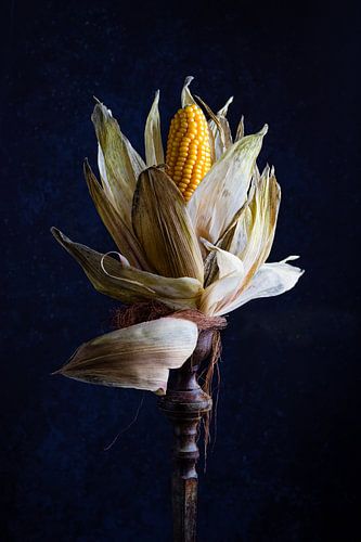 Stilleven Maïs op een voetstuk