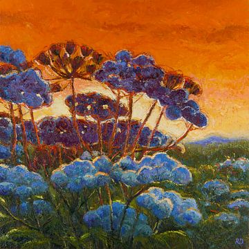 Cow parsley in the evening light by Rob Donders Beeldende kunst
