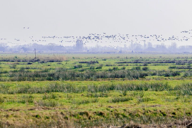 Vergezicht vanuit de Reeuwijkse Plassen van de buurtfotograaf Leontien
