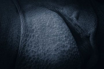Skin of a rhino by Angelique Morees