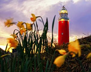 Texel Leuchtturm mit Narzissen / Texel Lighthouse with Daffodils von Justin Sinner Pictures ( Fotograaf op Texel)