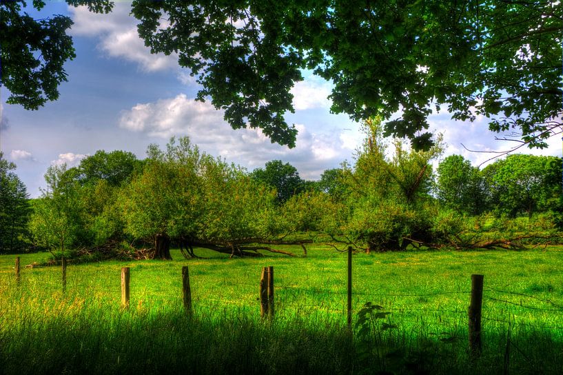 Nature morte à la campagne par Edgar Schermaul