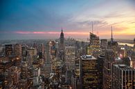 New York Panorama II van Jesse Kraal thumbnail