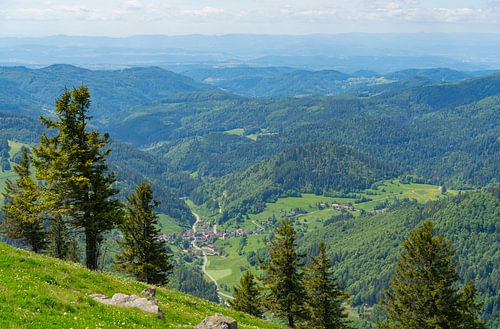 Rondom de Belchen in het Zwarte Woud