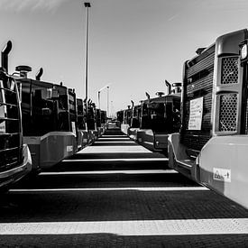 Autoimport in de Amsterdamse haven van Bart Vos