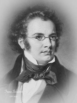 Franz Schubert van Hans Levendig (lev&dig fotografie)