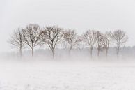 Bomen in stuivende sneeuw van Gonnie van de Schans thumbnail