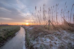 Sloot in de winter van Moetwil en van Dijk - Fotografie