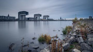 Kranhäuser und Skyline von Köln am Rhein von Robert Ruidl