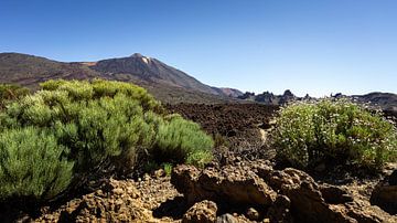 Teide National Park by Steffen Henze