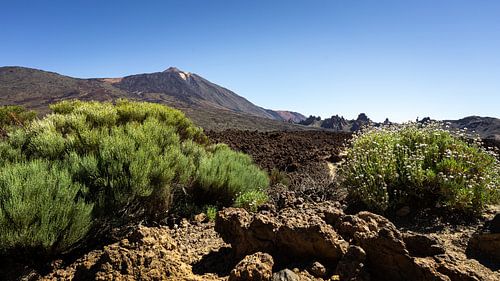 Parc national du Teide