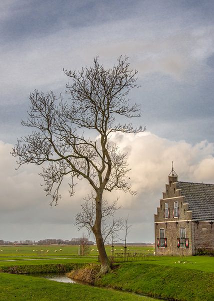 Friesland von Harrie Muis