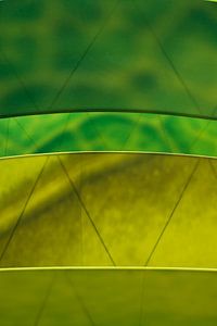 Abstrait 
