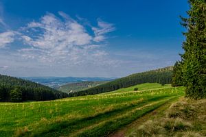 Wunderschönes Wanderparadies am Rennsteig