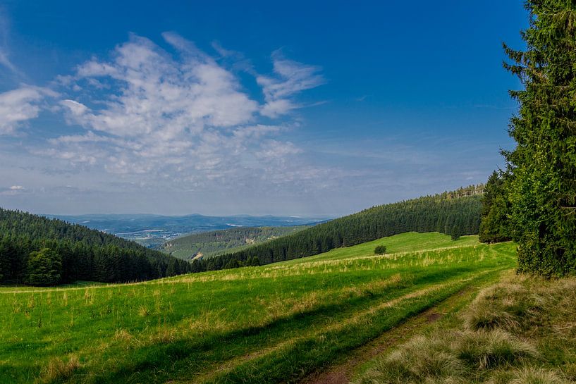Wonderful hiking paradise at the Rennsteig by Oliver Hlavaty