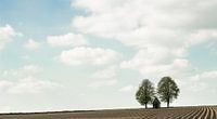 België Zwalm region panorama