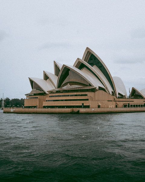 Sydney by Hello Pompoyo