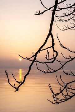 Sonnenuntergang mit Silhouette am Bodensee von Dieter Walther