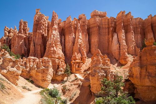 UTAH Bryce Canyon Hoodoos