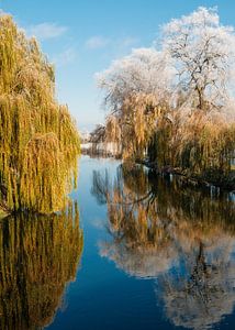 Flußlandschaft im Winter